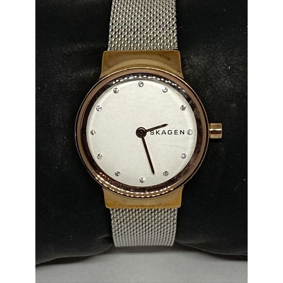 Skagen SKW1101 Women\'s stainless steel Mesh Analog Dial Quartz Wrist Watch JK636 main image 11